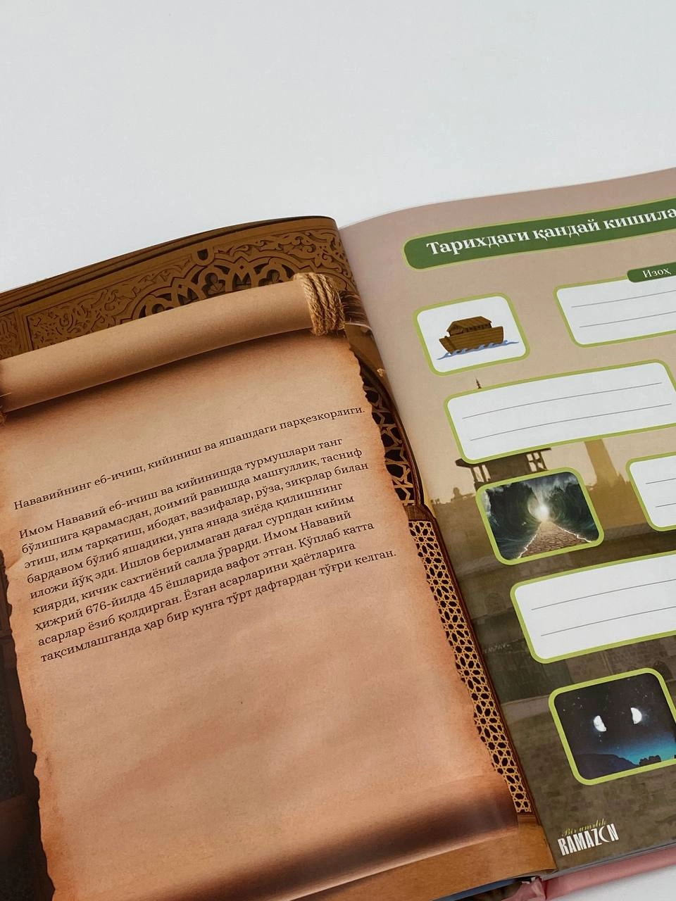 Bir umrlik ramazon lotin (yashil) xususiyatlar