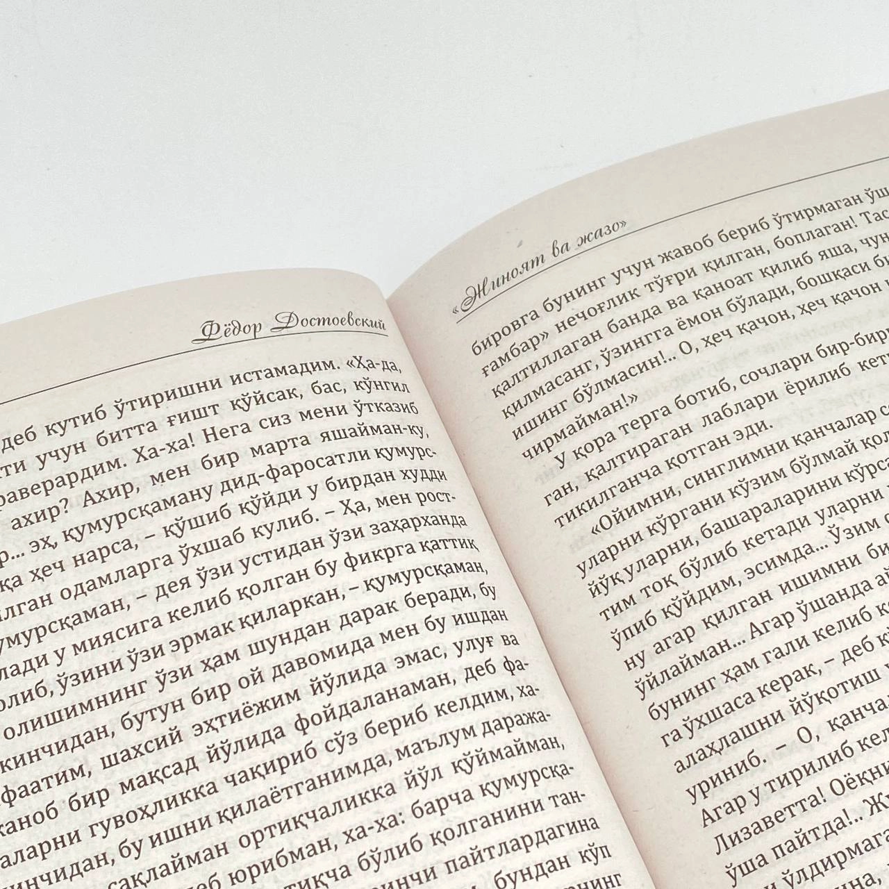 Фёдор Достоевский: Жиноят ва жазо (қаттиқ муқова) цена