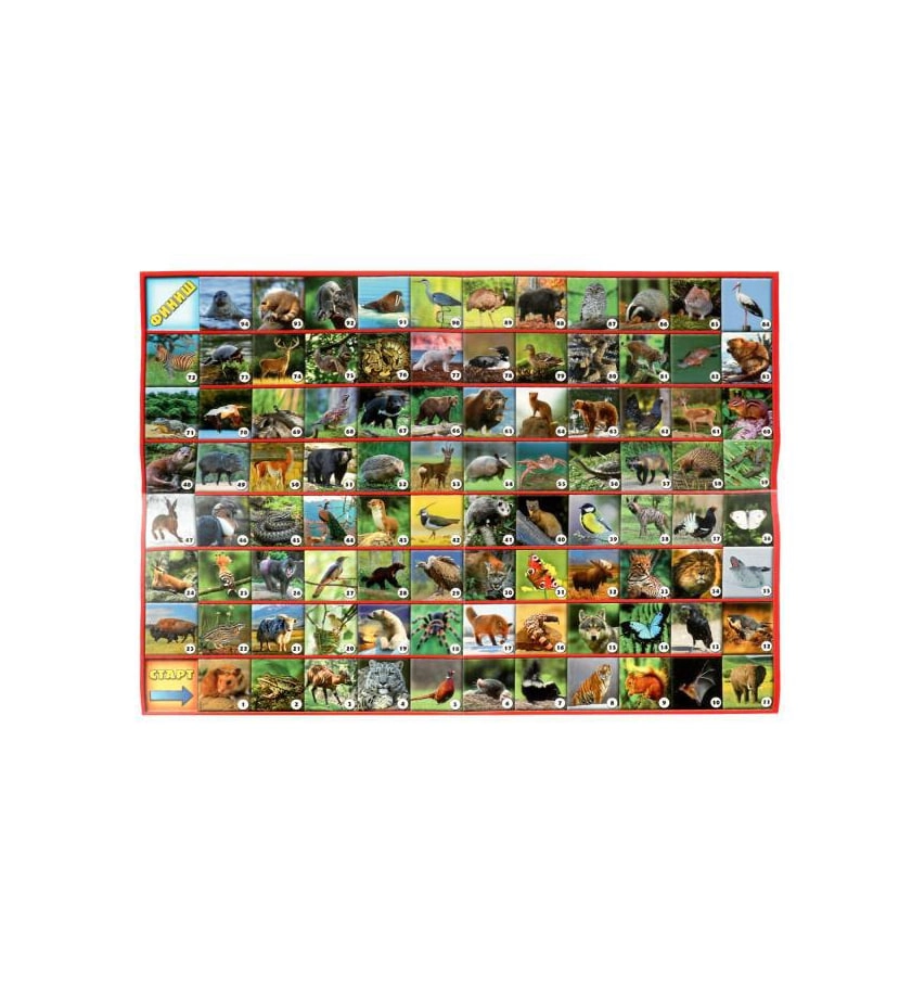 Настольная игра: Фотовикторина Животные планетые Земля (2 игровых поля) bo'lib to'lash
