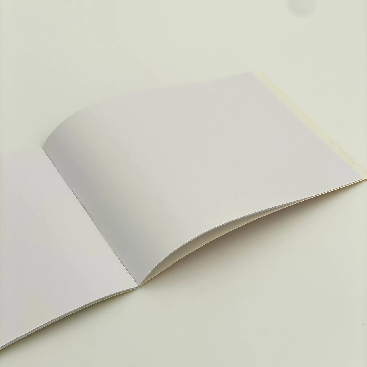 777 Альбом для рисования 12 листов недорого