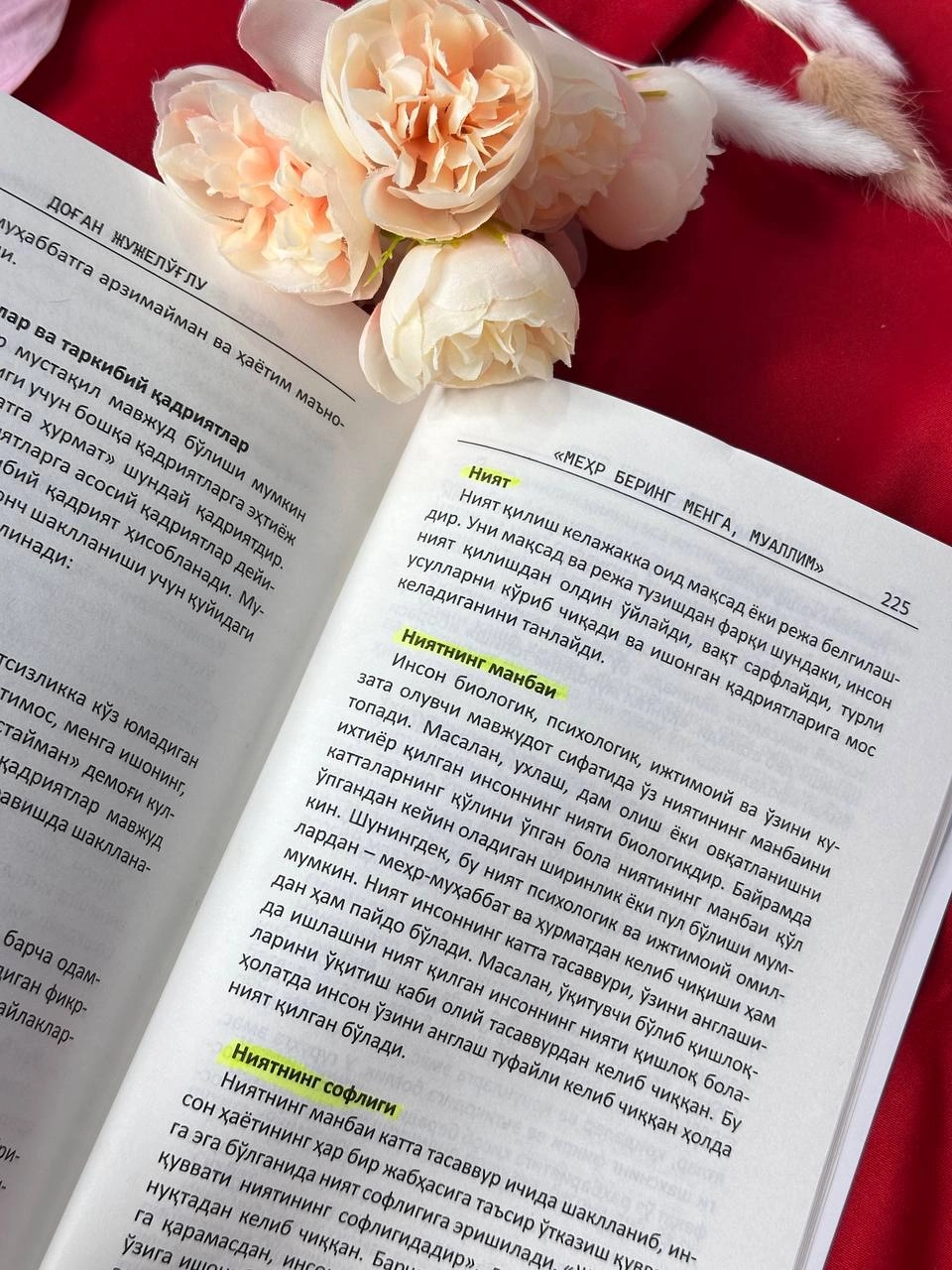 Dog'an Jujelo'g'lu: Mehr bering menga, muallim O'zbekistonda