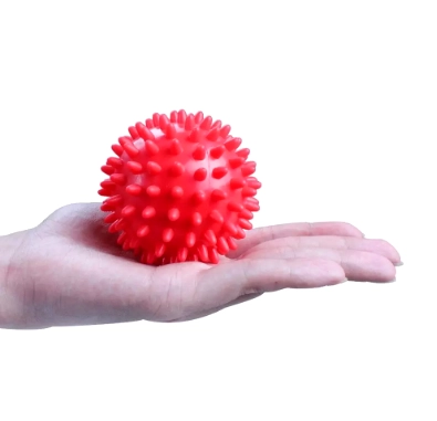 Massaj to'pi Kirpi A358 PowerGym narxi