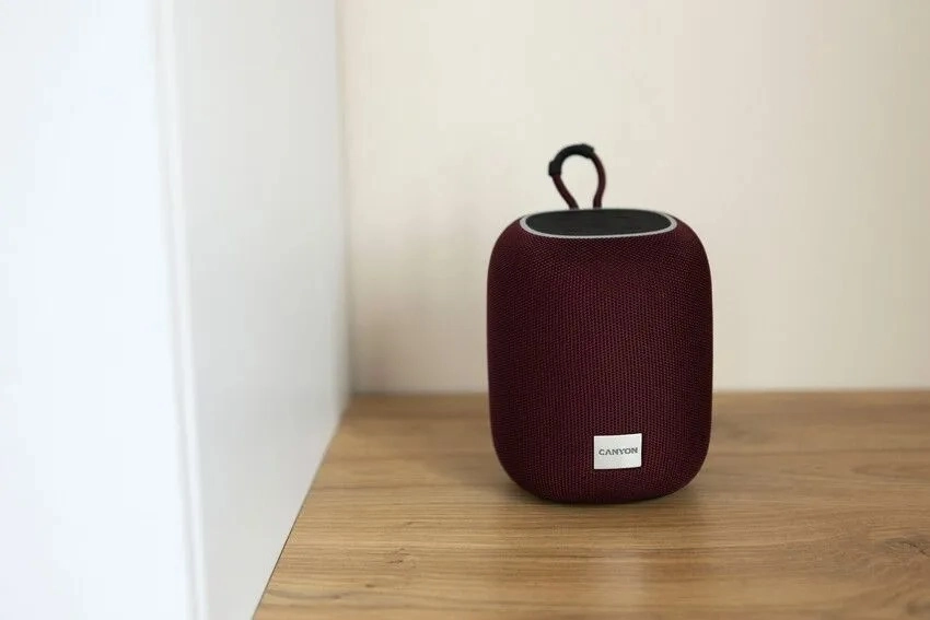 Портативная беспроводная колонка Canyon BSP-8 Красный онлайн