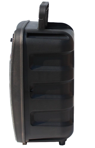 Портативная акустика OMS OM-808A недорого