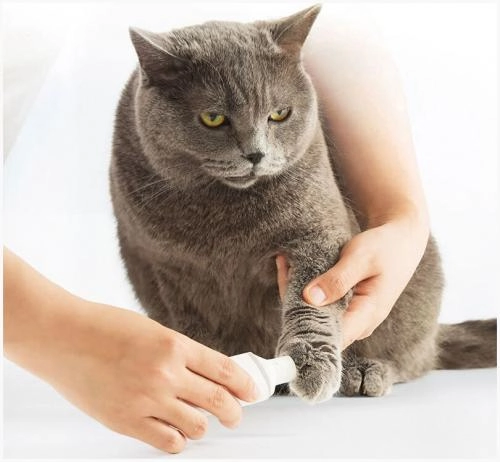 Xiaomi Pawbby Pet Electric Nail Sharpener – uy hayvonlarining tirnog‘i uchun trimmer onlayn