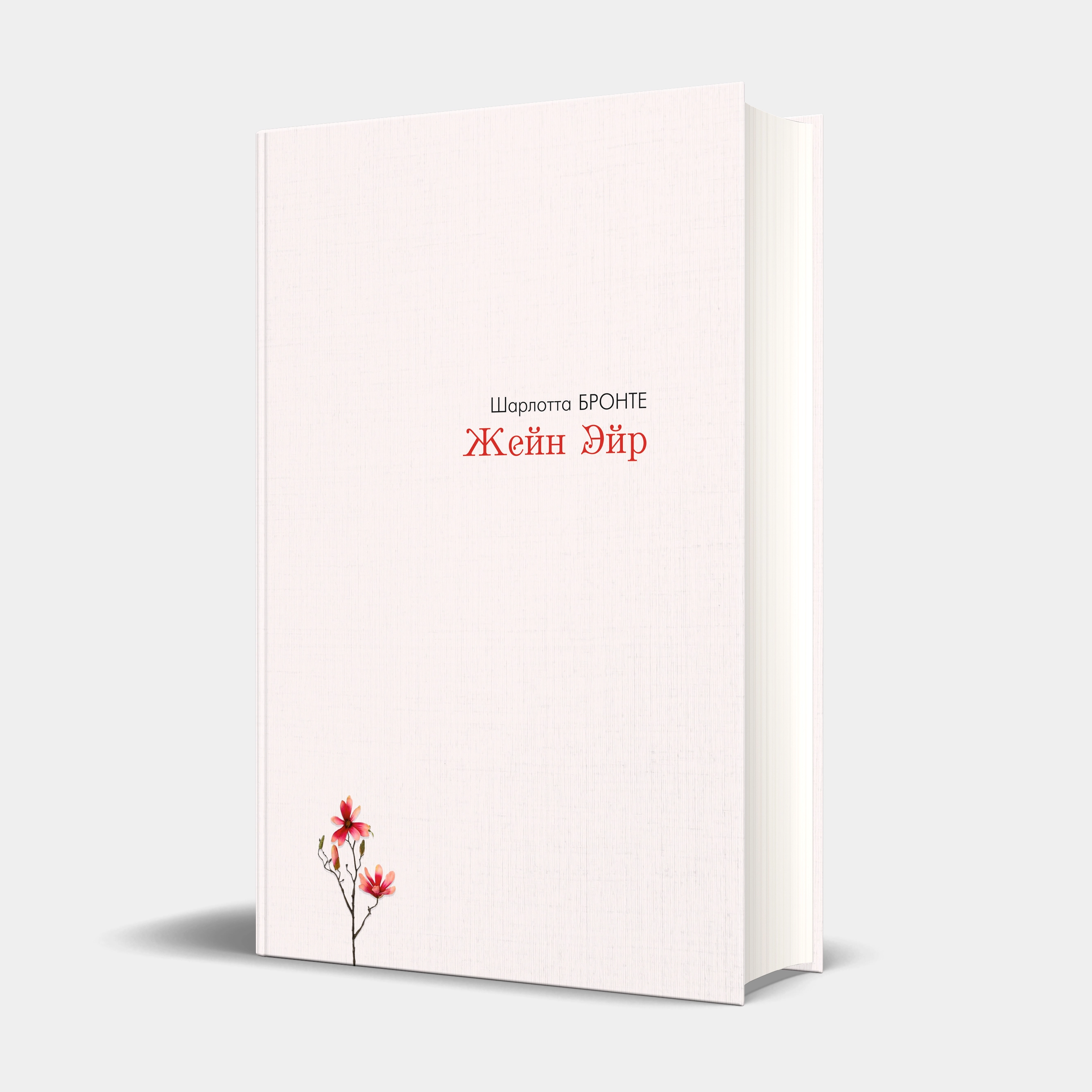 Sharlotta Bronte: Jeyn Eyr sotib olish