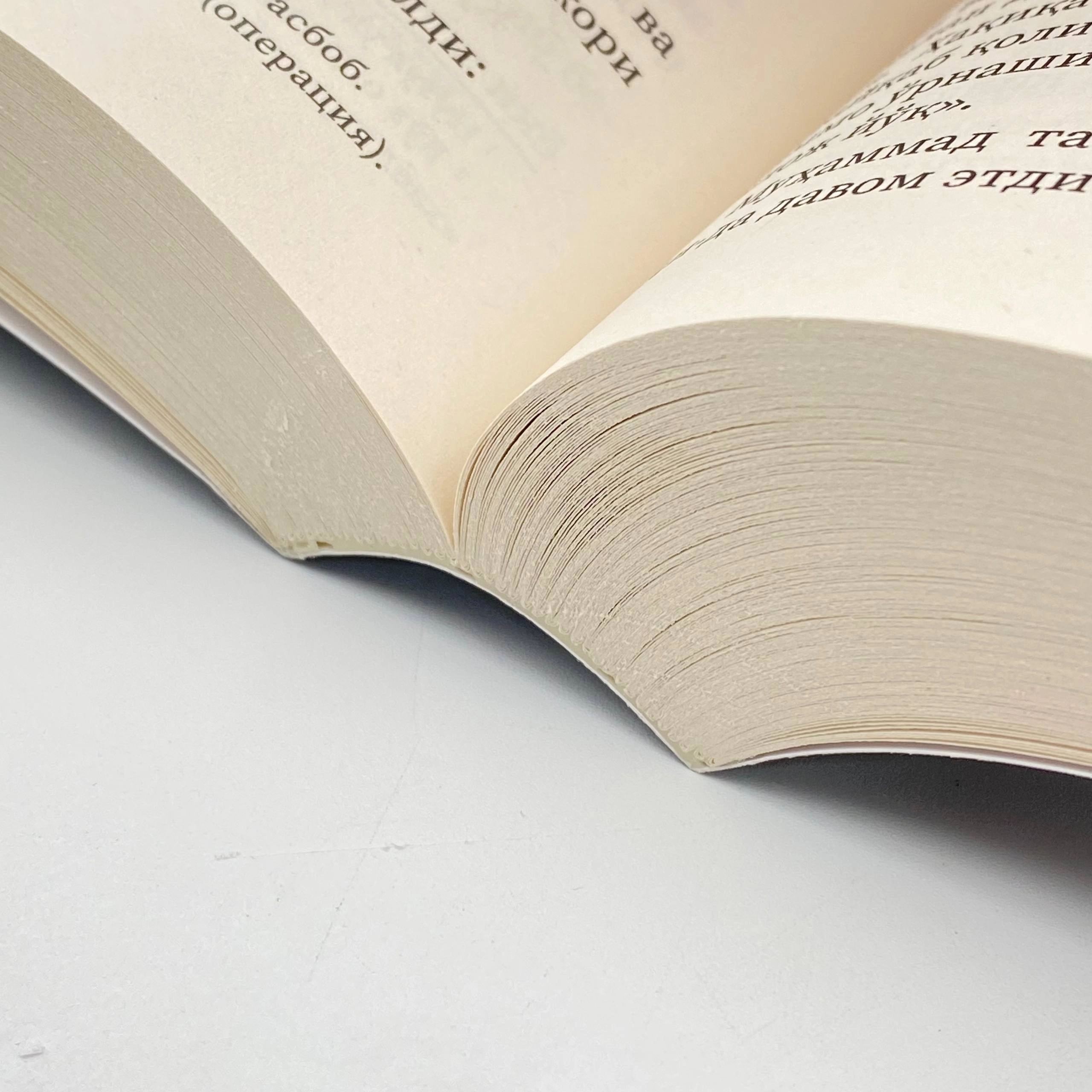 Маҳмуд Ҳасаний: Салтанат табиби рассрочка