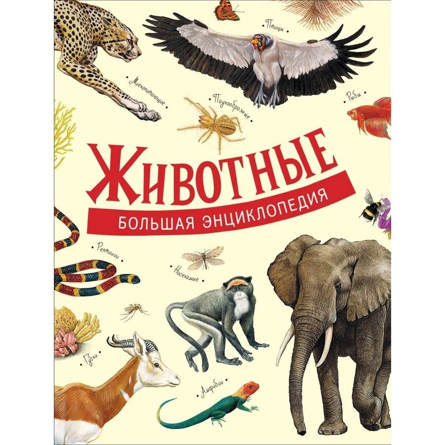Большая энциклопедия. Животные - rasm №2 Большая энциклопедия. Животные sotib olish