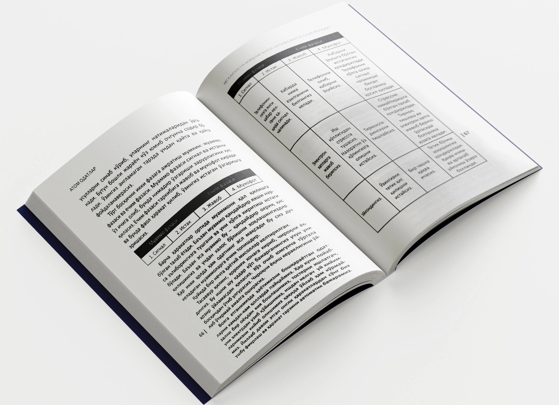 Jeyms Klir: Atom odatlar sotib olish