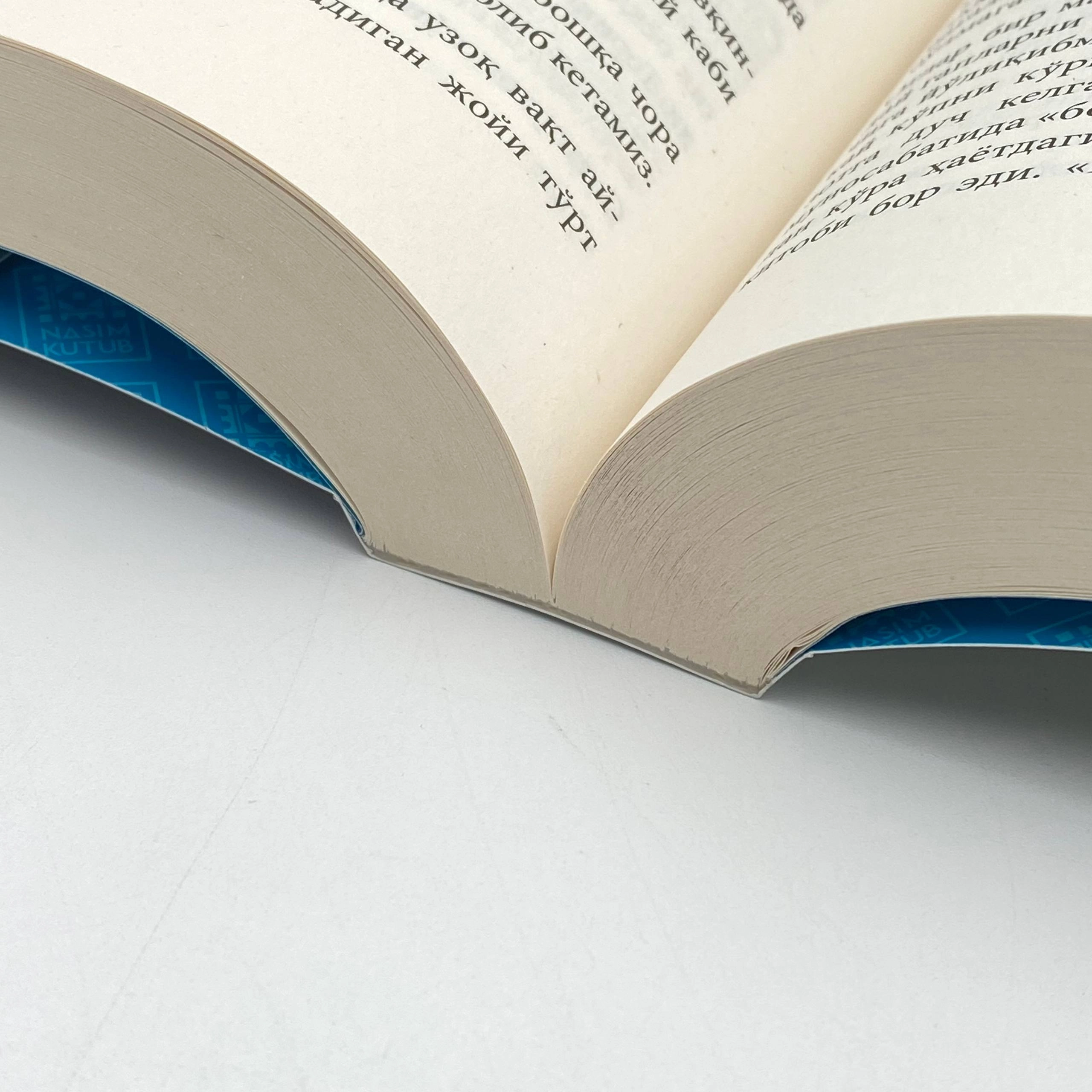 Nazan Bekiro'g'lu: Anor daraxti narxi