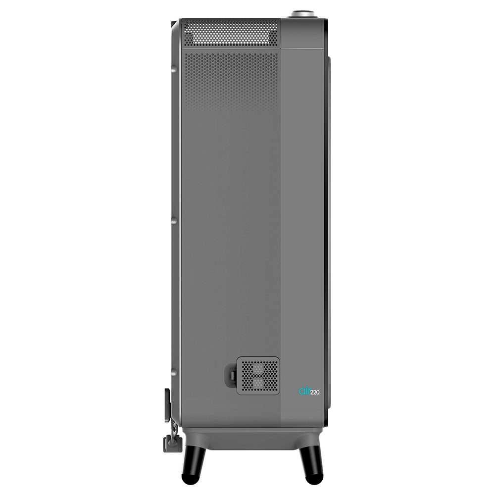 Очиститель воздуха Bissell Air220 Air Purifier 30011 доставка