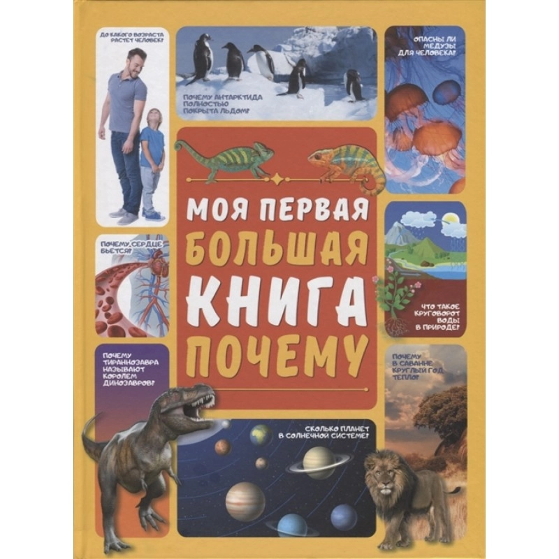 Моя первая большая книга почему купить