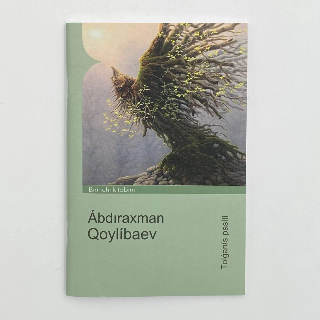 Abdiraxman Qoylibaev: Tolganis pasili (Биринчи китобим) купить