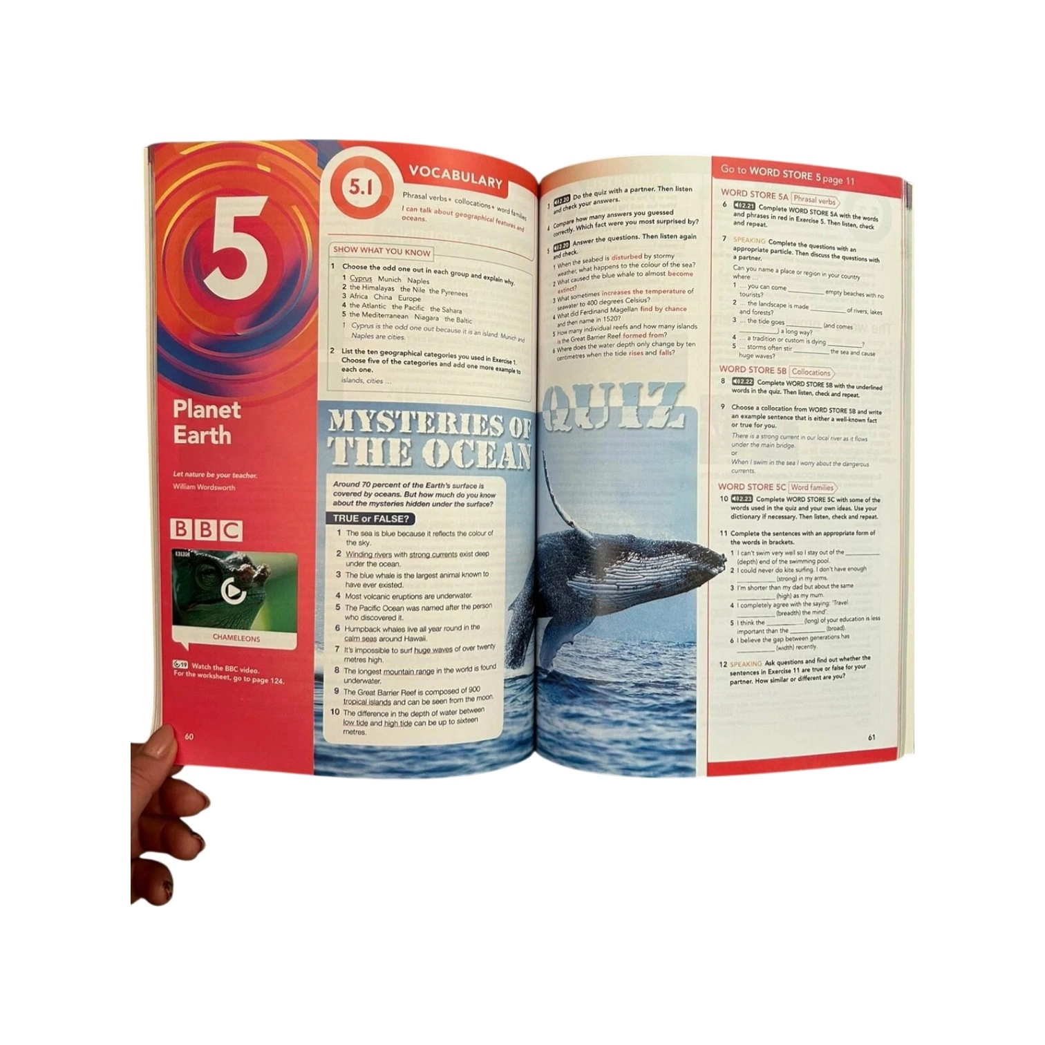 Focus 3: Student's Book +Word store+ Workbook недорого