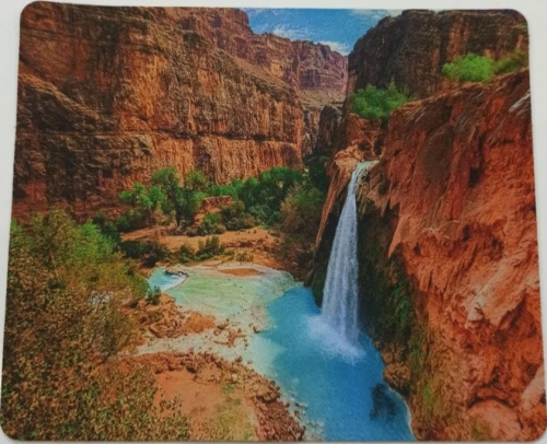 Sichqoncha gilamchasi arzon