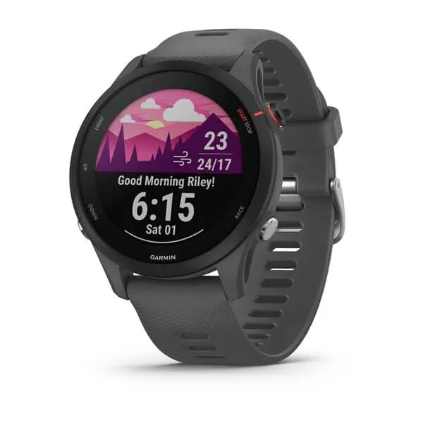 Смарт часы Garmin Forerunner 255 Gray купить