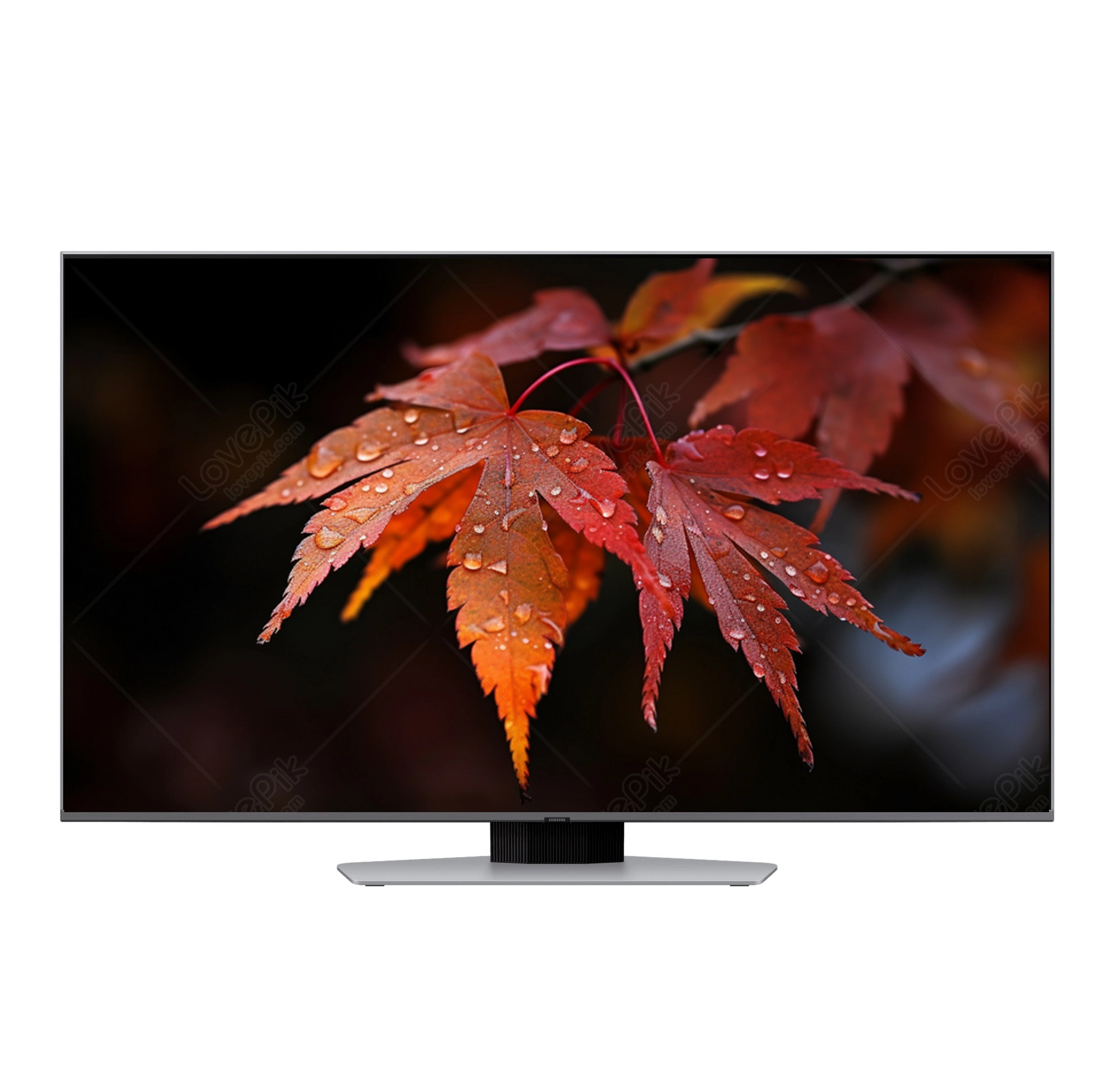 Samsung QLED Full Array LED QE75Q80D 4K UHD Smart TV televizori sotib olish