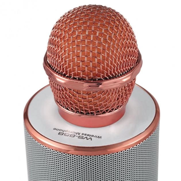 Микрофон WSTER WS-858 золотистый недорого