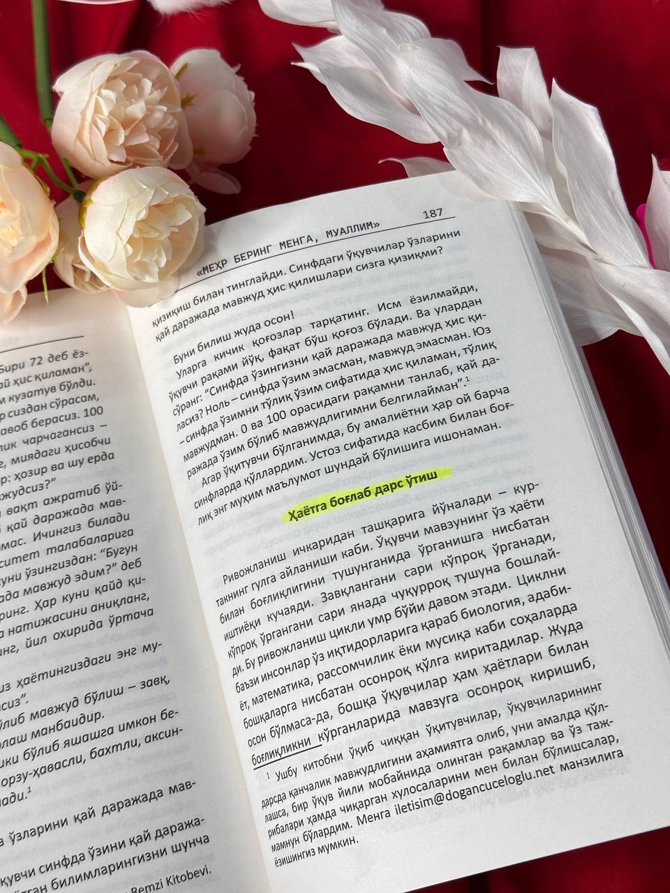 Dog'an Jujelo'g'lu: Mehr bering menga, muallim narxi