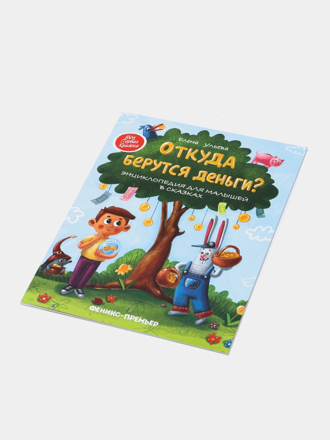 Елена Ульева: Откуда берутся деньги? sotib olish