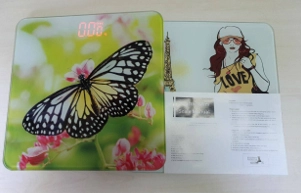 Весы электронные A110  PowerGym недорого