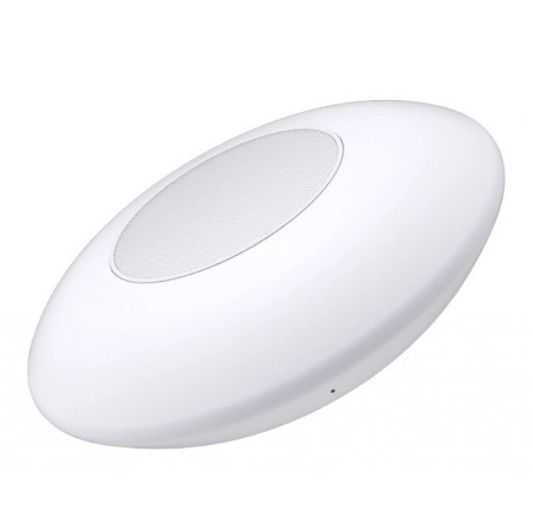 Портативная акустика Yison WS-2 онлайн