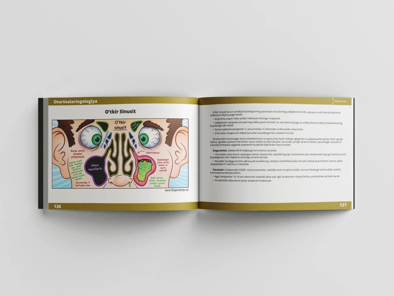 Xorxe Munis: Medkomiks — tibbiyotni o'rganishning qiziqarli usuli onlayn