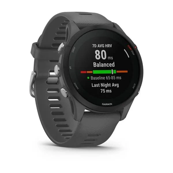 Смарт часы Garmin Forerunner 255 Gray недорого