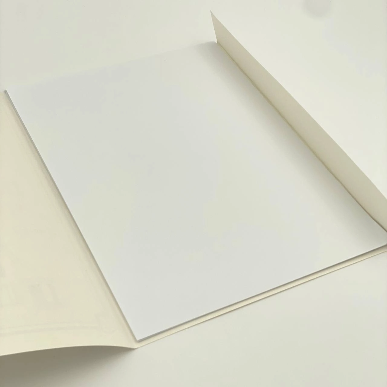 Папка для черчения A3, 10 листов недорого