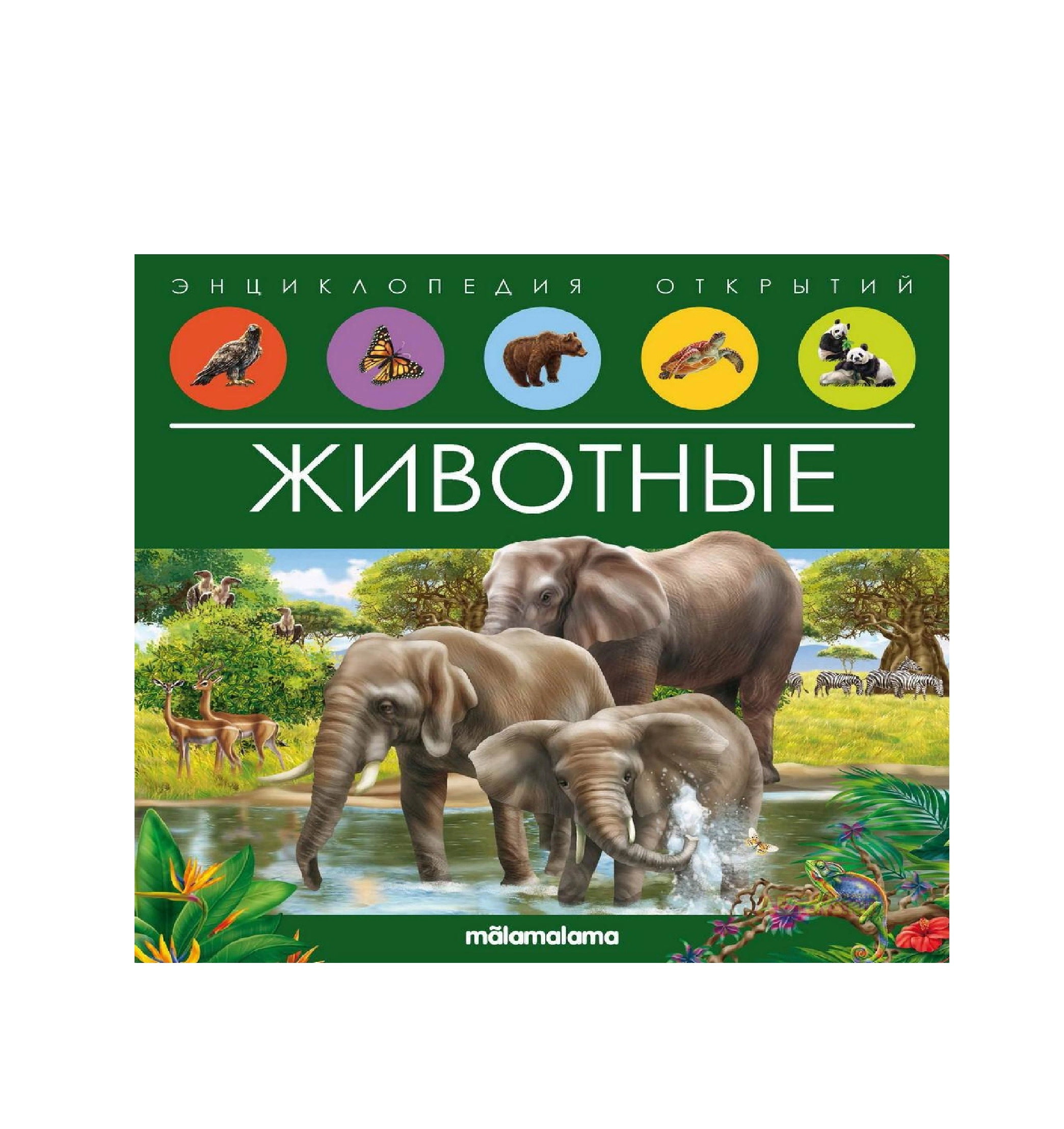 Энциклопедия открытий Животные sotib olish