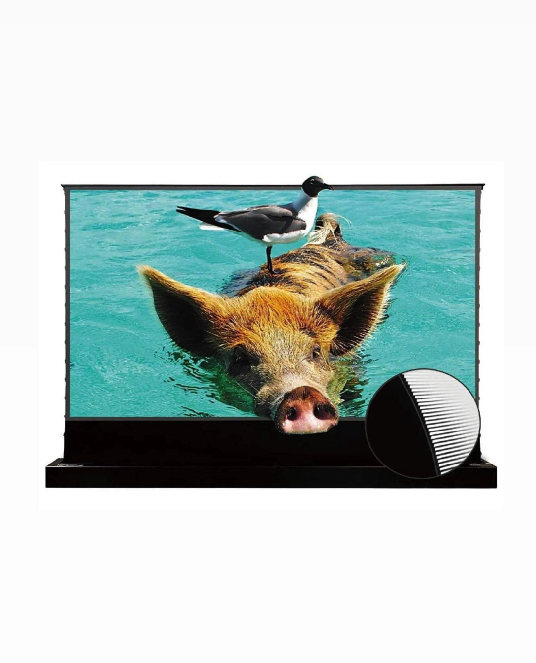 LF-120V &ndash; proyektor uchun ekran sotib olish