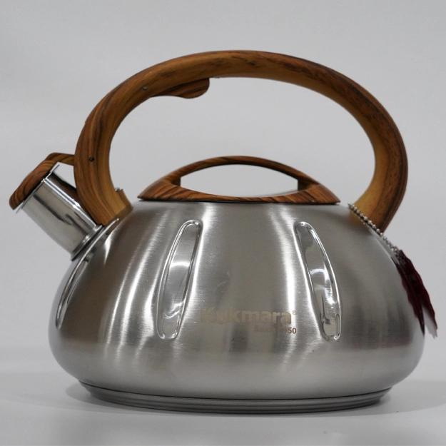 Чайник нержавейка стали с разноцветный ручкой Kukmara цена