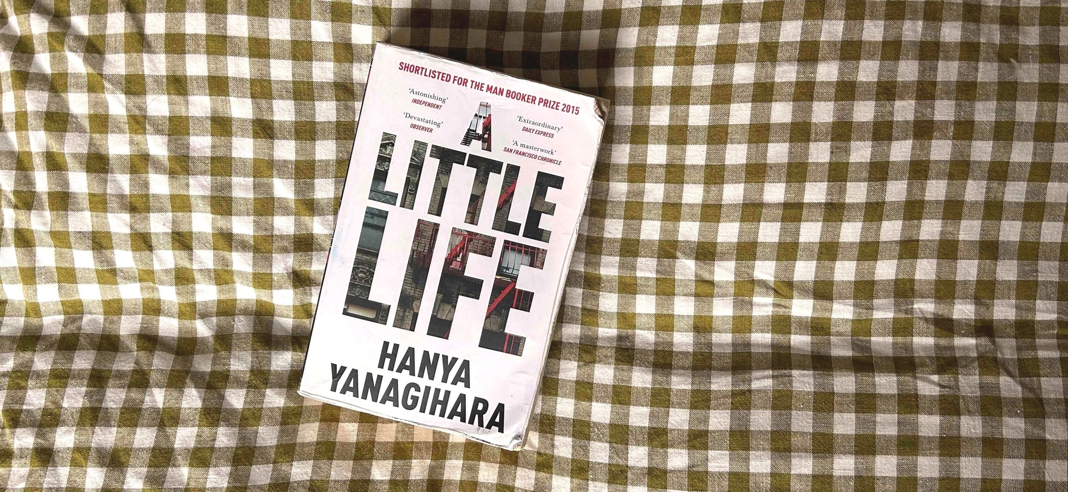 Hanya Yanagihara: A little life (soft cover) arzon