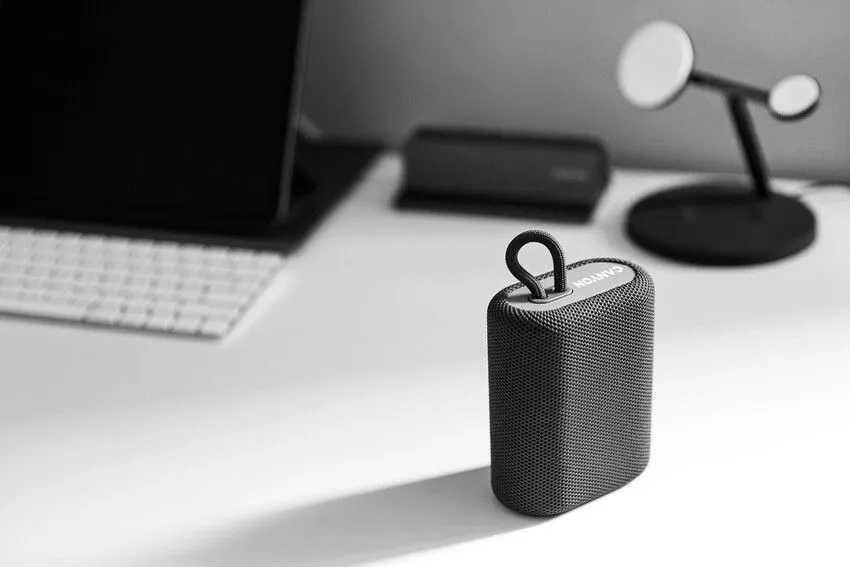 Портативная беспроводная колонка Canyon BSP-4 Серый онлайн