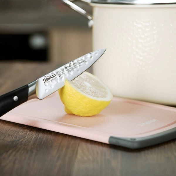 Fissman taxtachasi, 25x15 sm (plastik+TPR) onlayn