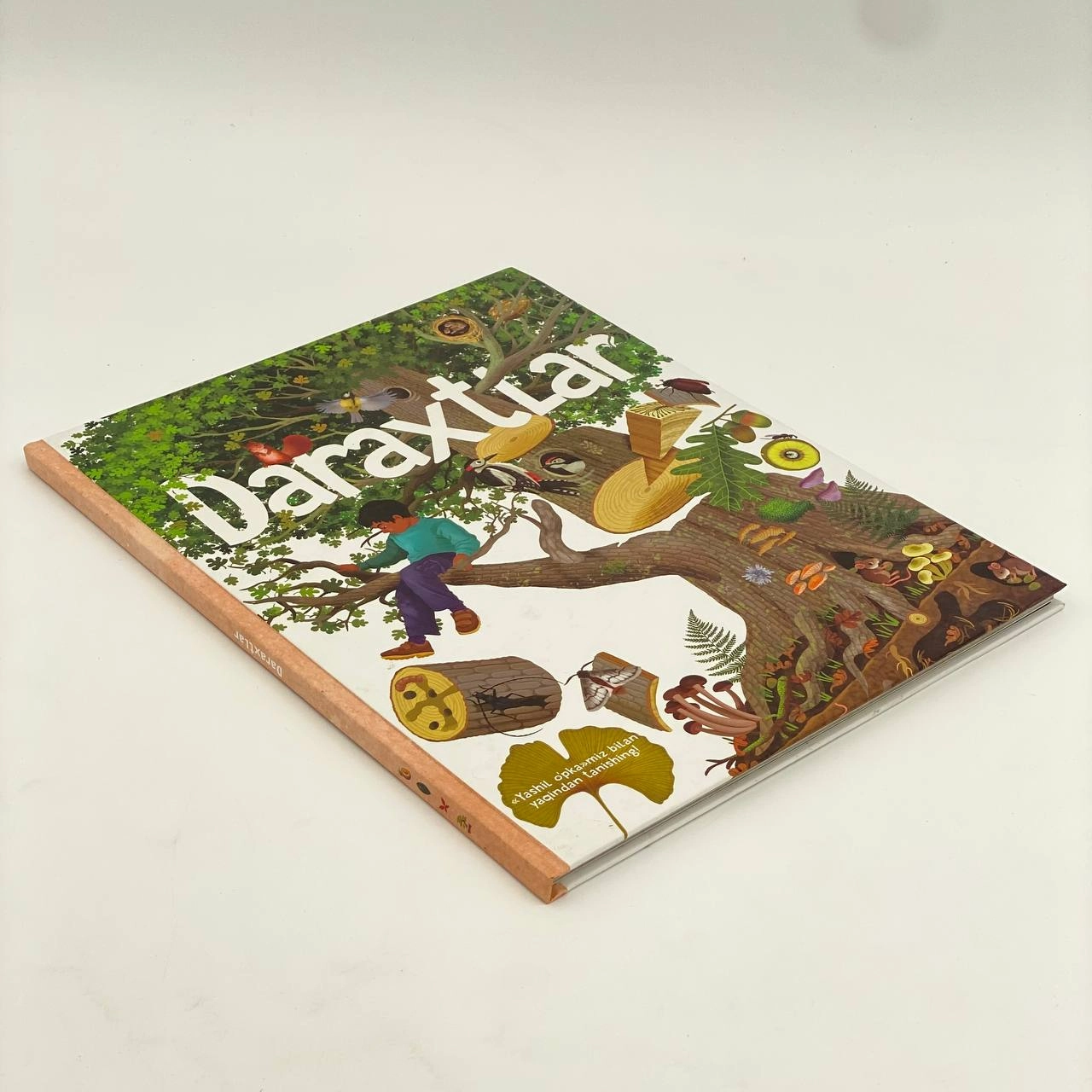 Дарахтлар: "Яшил ўпка"миз билан яқиндан танишинг! недорого