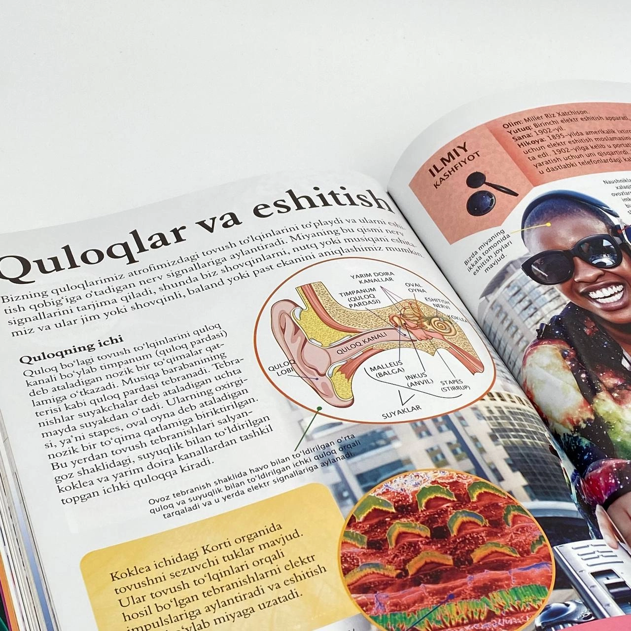 Инсон танаси. Болалар энциклопедияси цена