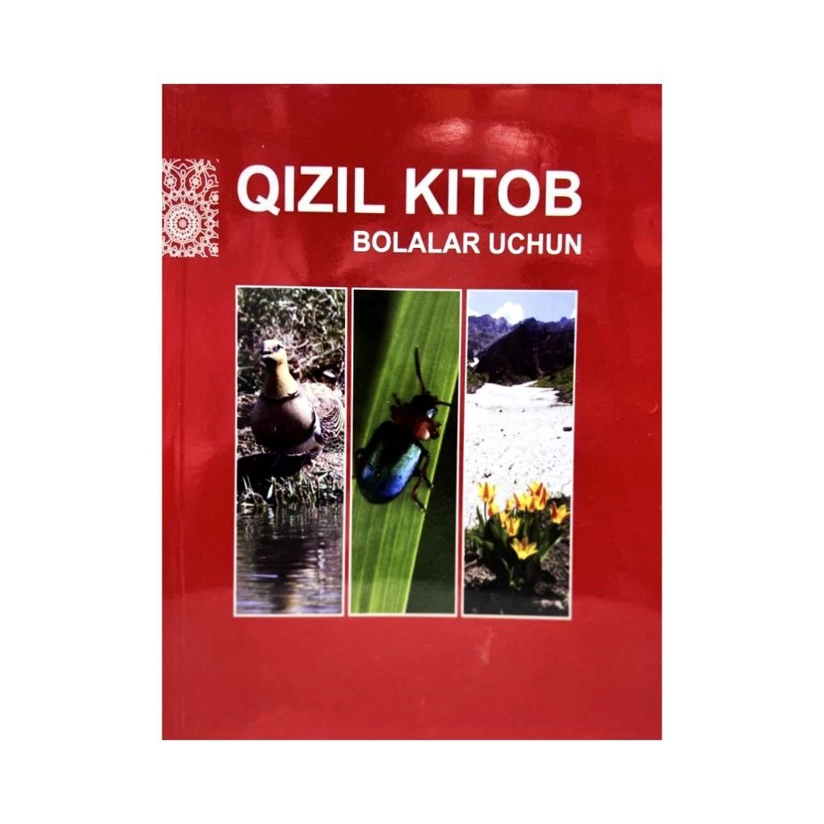 Qizil kitob bolalar uchun купить