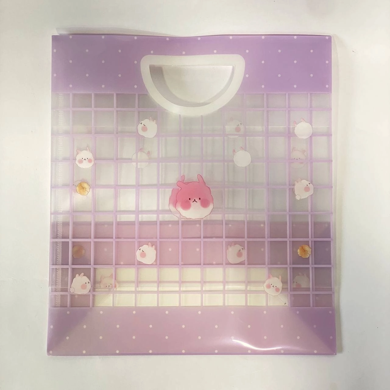 Папка для документов и канцелярии A4, пластиковая, с отделениями купить