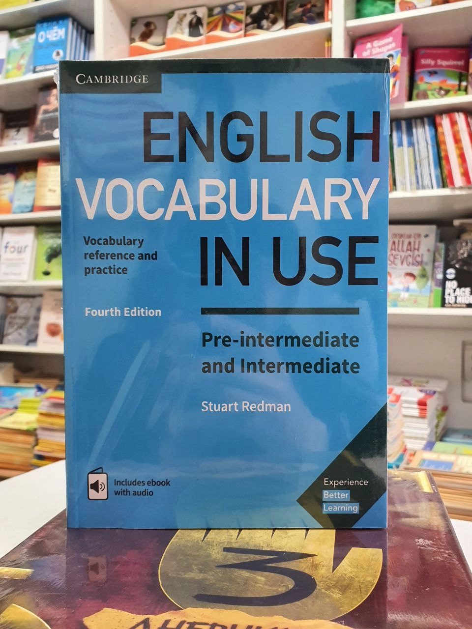 Stuart Redman: English Vocabulary in Use. Pre-intermediate and Intermediate (Fourth edition) купить