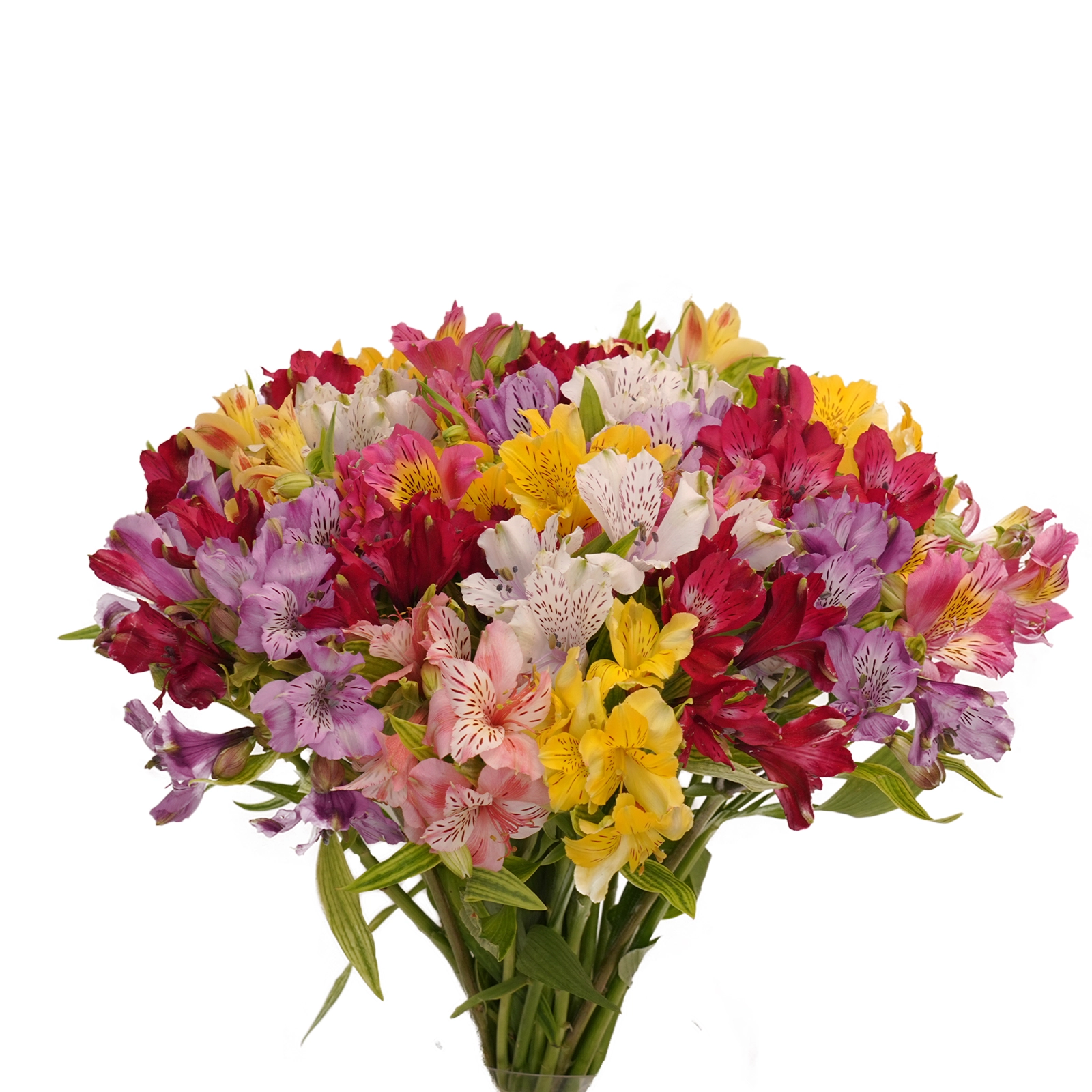 "Alstroemeria" guldastasi miks sotib olish