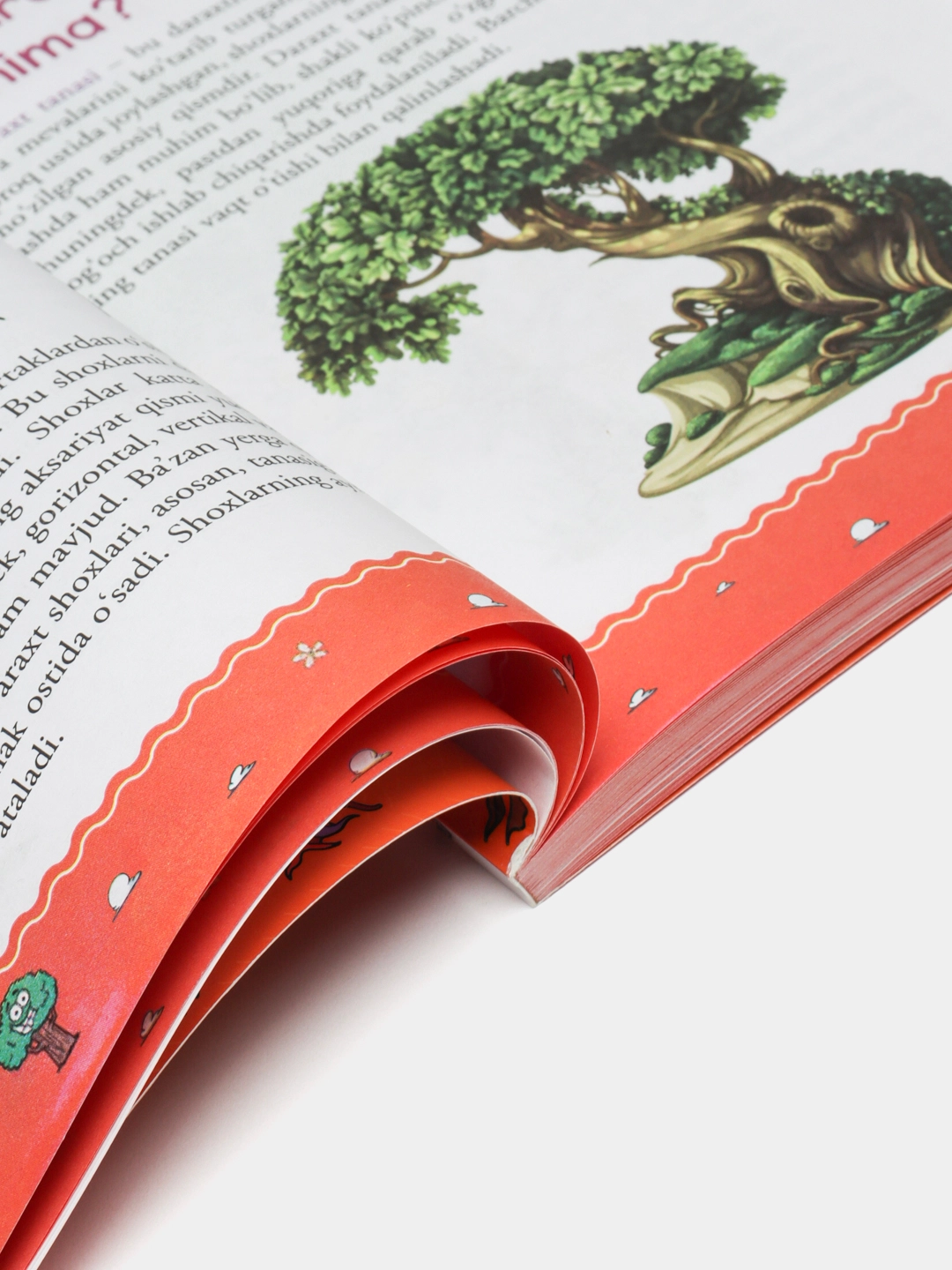 Билимлар дунёси: Ўсимликлар дунёси в Узбекистане