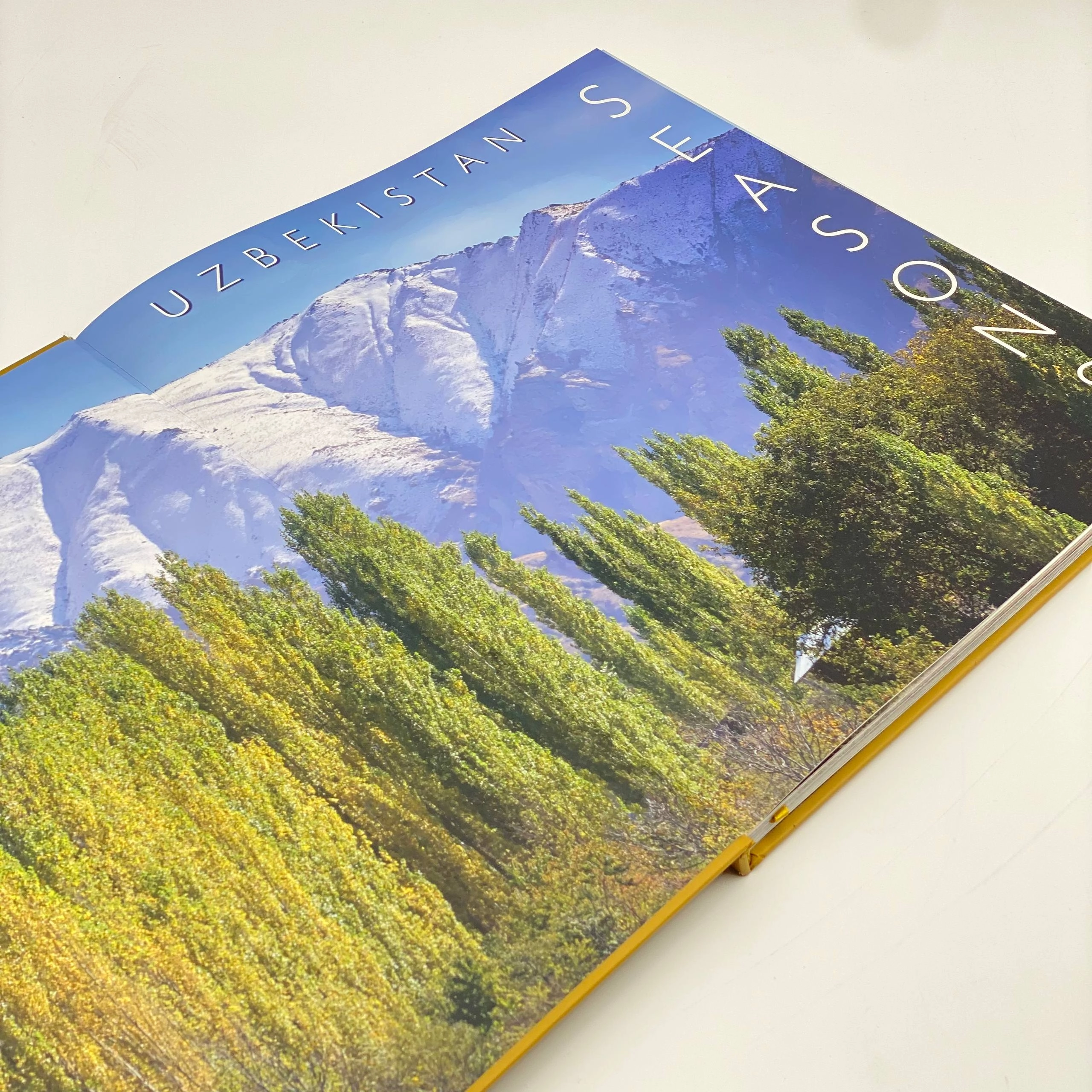Альбом-книга Uzbekistan Seasons онлайн