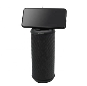 Kisonli Q5S Portativ akustikasi sotib olish