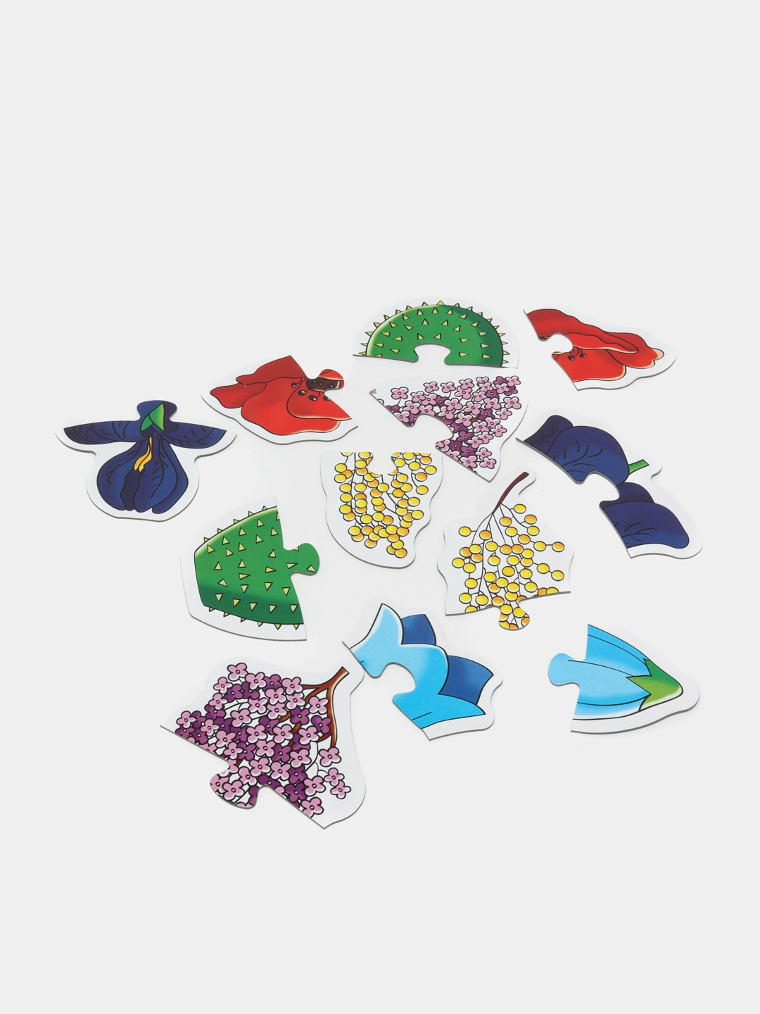 "Какой цвет?" (Baby Step) o'quv o'yini narxi