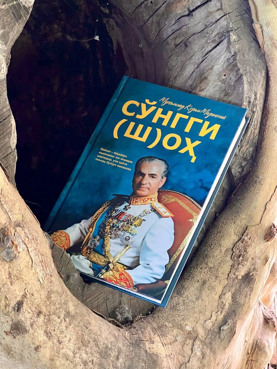 Муҳаммад Козим Мазиноний: Сўнгги (ш)оҳ купить