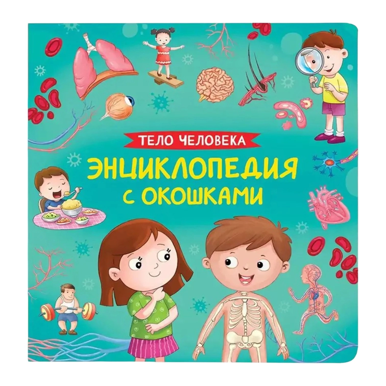 Энциклопедия с окошками. Тело человека sotib olish