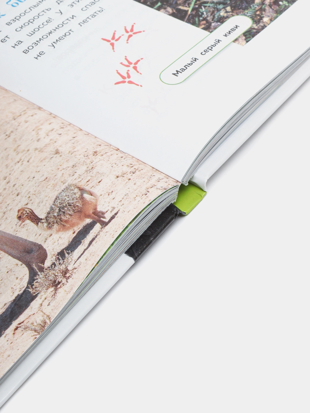 Животные. Большая детская энциклопедия онлайн