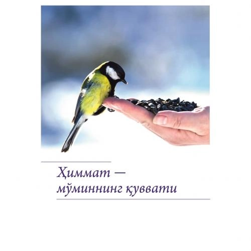 Ҳиммат - мўминнинг қуввати - фото №2 Ҳиммат - мўминнинг қуввати купить