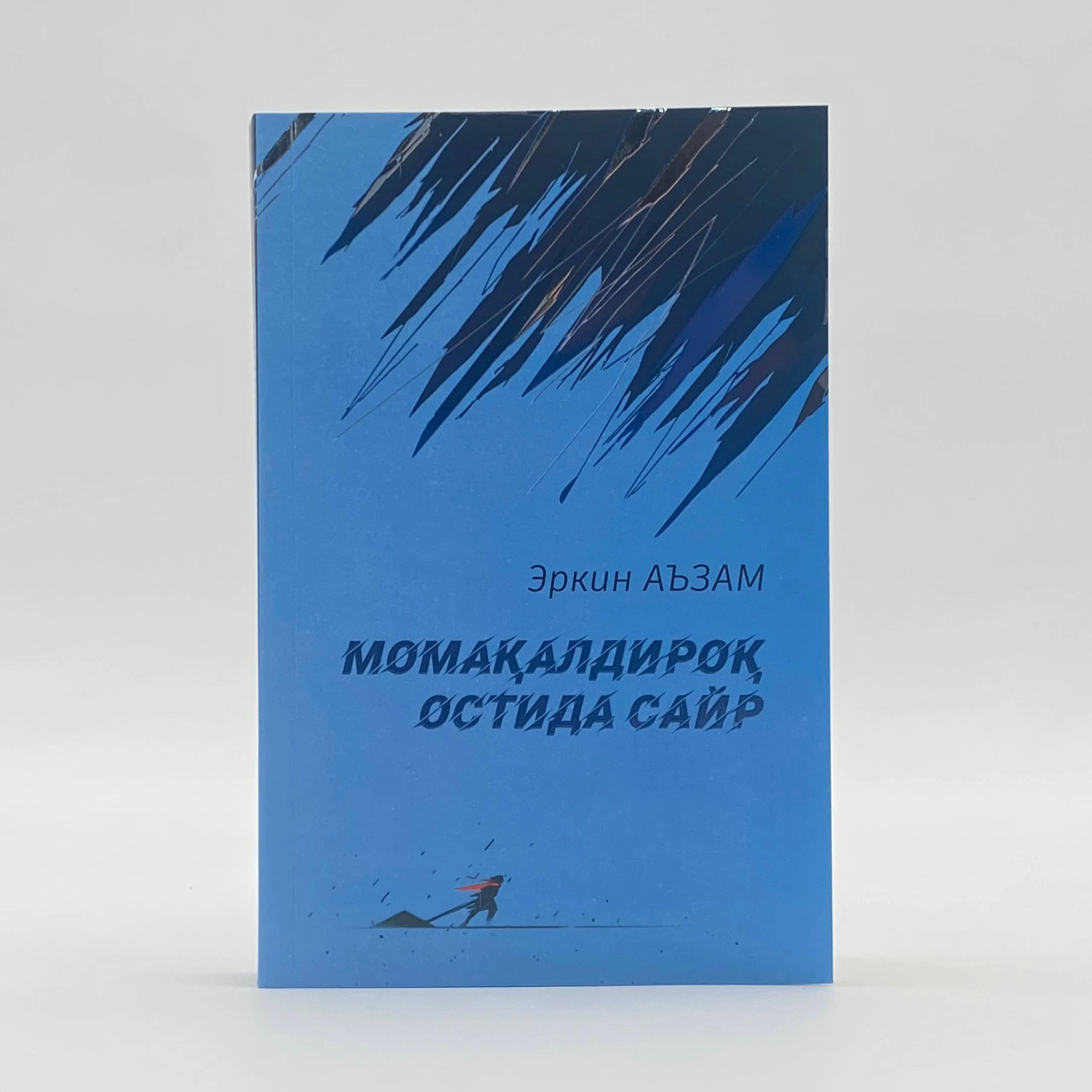 Эркин Аъзам: Момақалдироқ остида сайр купить
